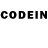 COCAIN Columbia Fazilat Inoyatova