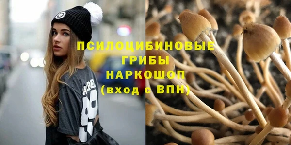 PSILOCYBIN Армянск