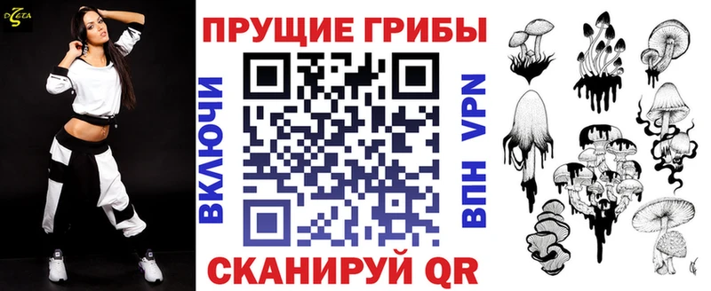 где можно купить   Москва  Галлюциногенные грибы Cubensis 